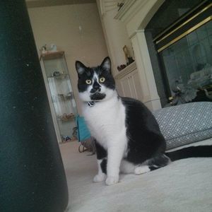 Meet your Posher, Jennifer